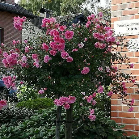 Und -zimmer Becks בית הארחה 4*