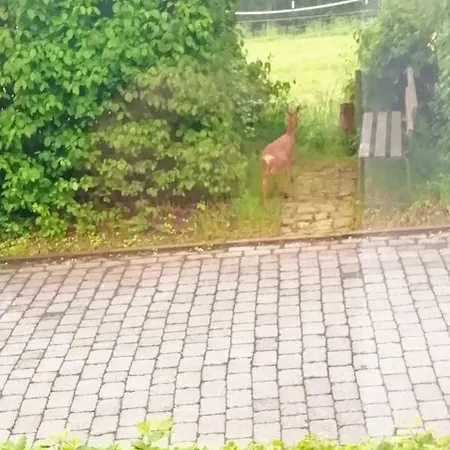 Und -zimmer Becks בית הארחה לודינגהאוסן